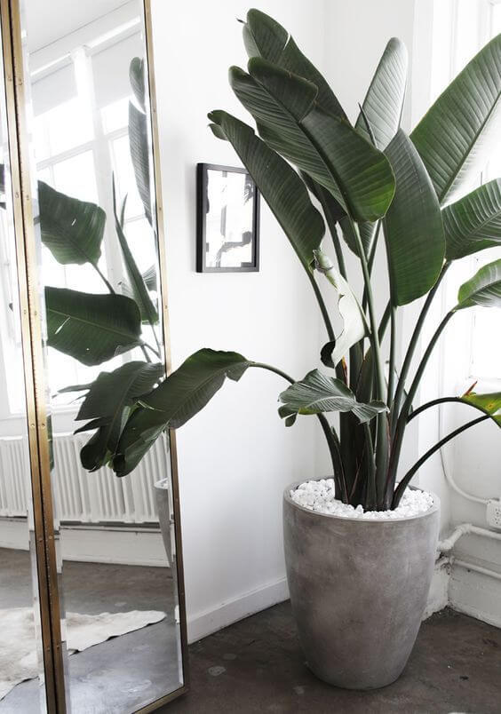 grote spiegels - Ventrio - Interieur blog