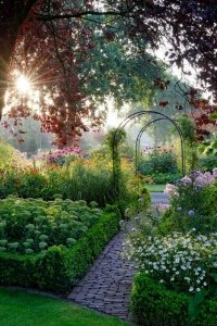 garden